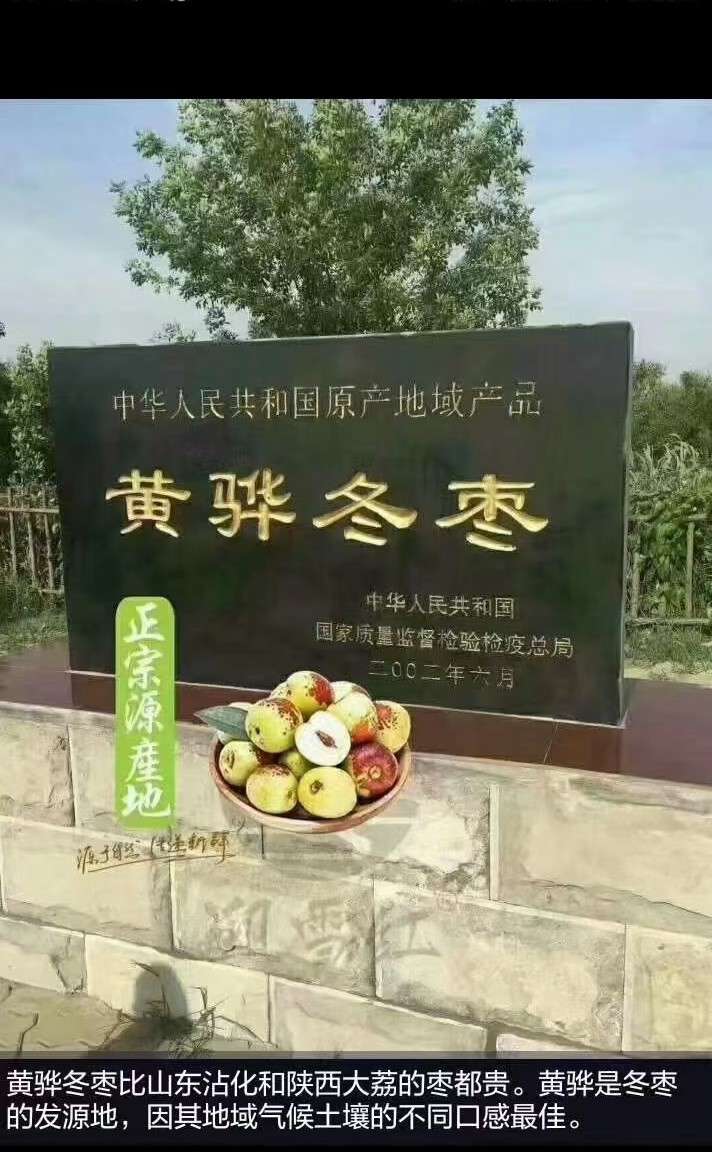 手心里的温柔