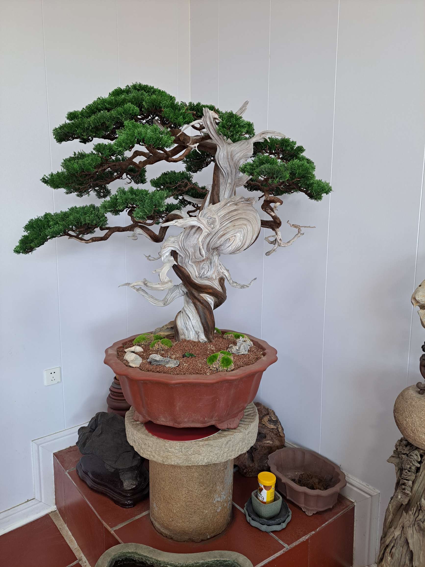 梁生