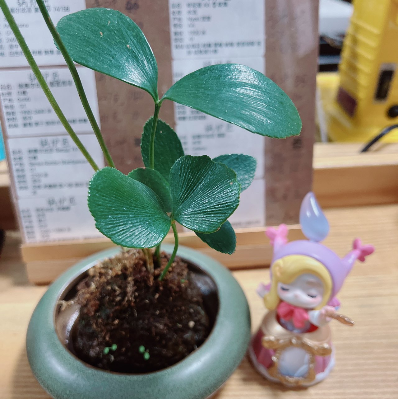 林玉梅