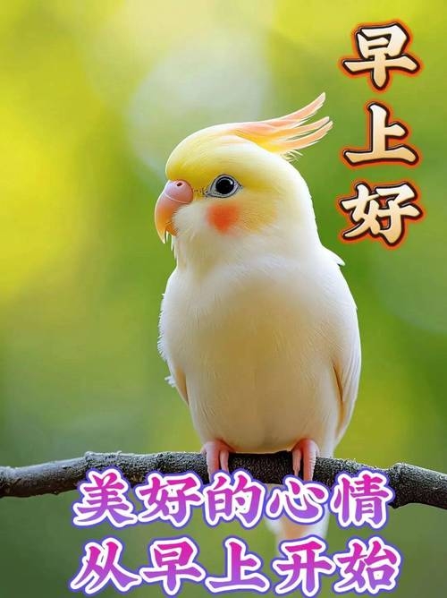 鲁静