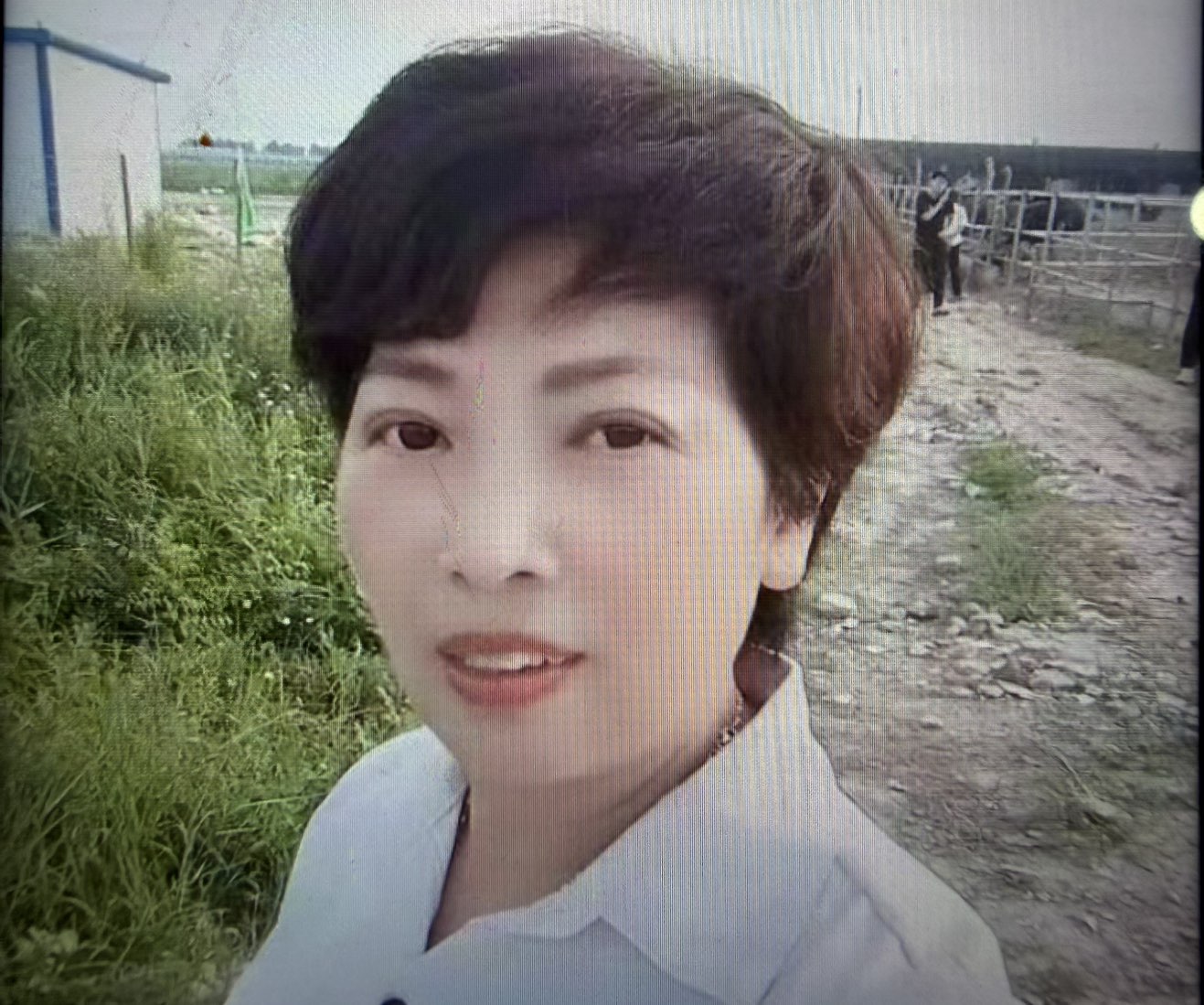 林平