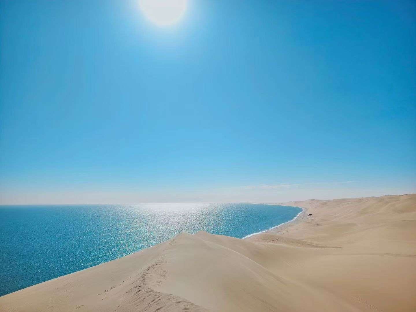 博文