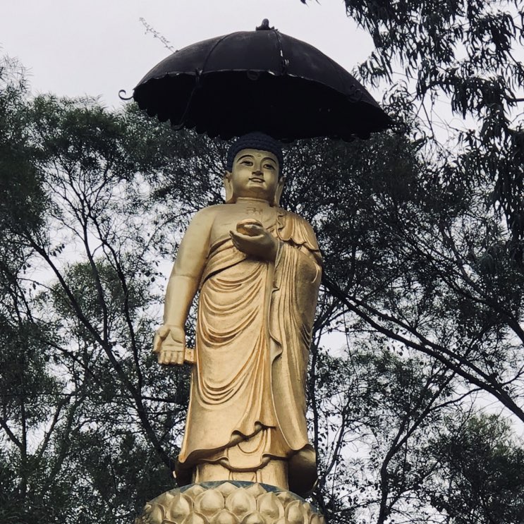 伟和业