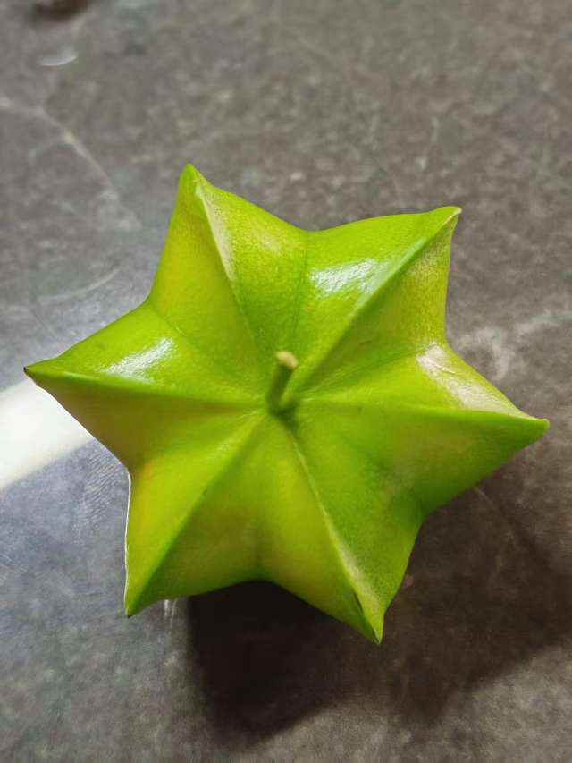菲菲姐