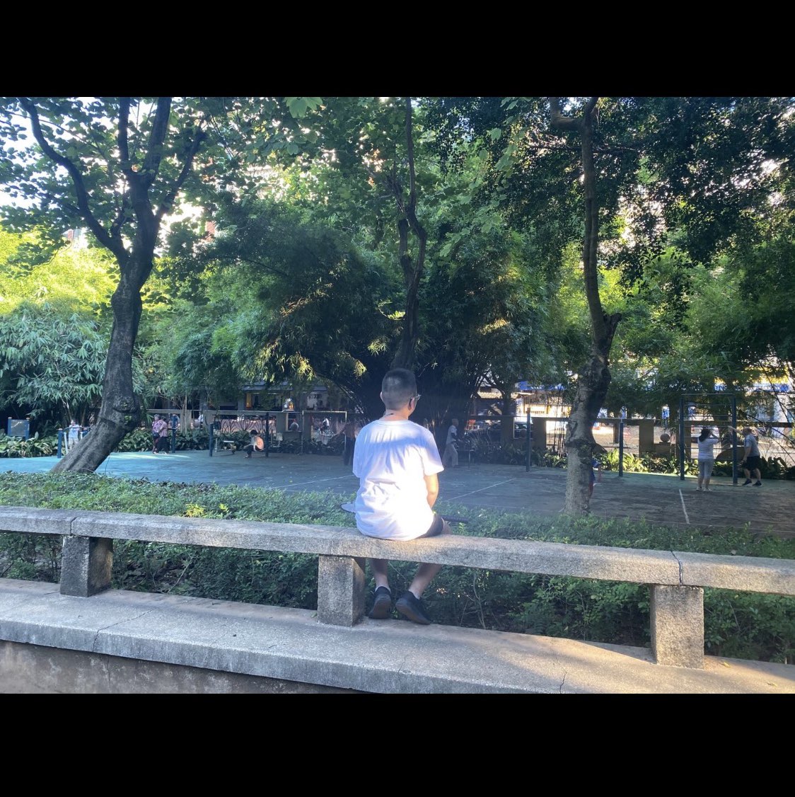 蔡