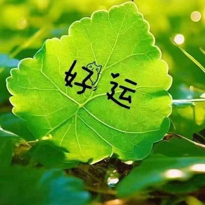 与子成悦