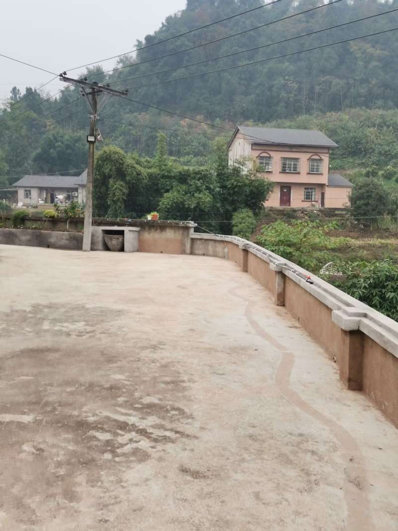 雨伞
